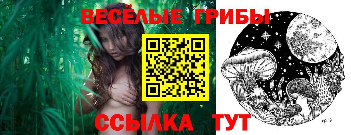 Галлюциногенные грибы мицелий Сланцы